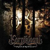 http://www.metalland.net/board/upl-images/Korpiklaani-spirit_large.jpg